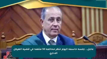 عاجل.. جلسة حاسمة اليوم لنظر محاكمة 50 متهما في قضية الهيكل الإداري